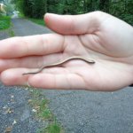 phoca_thumb_m_k pamtnku 33 Fotogalerie